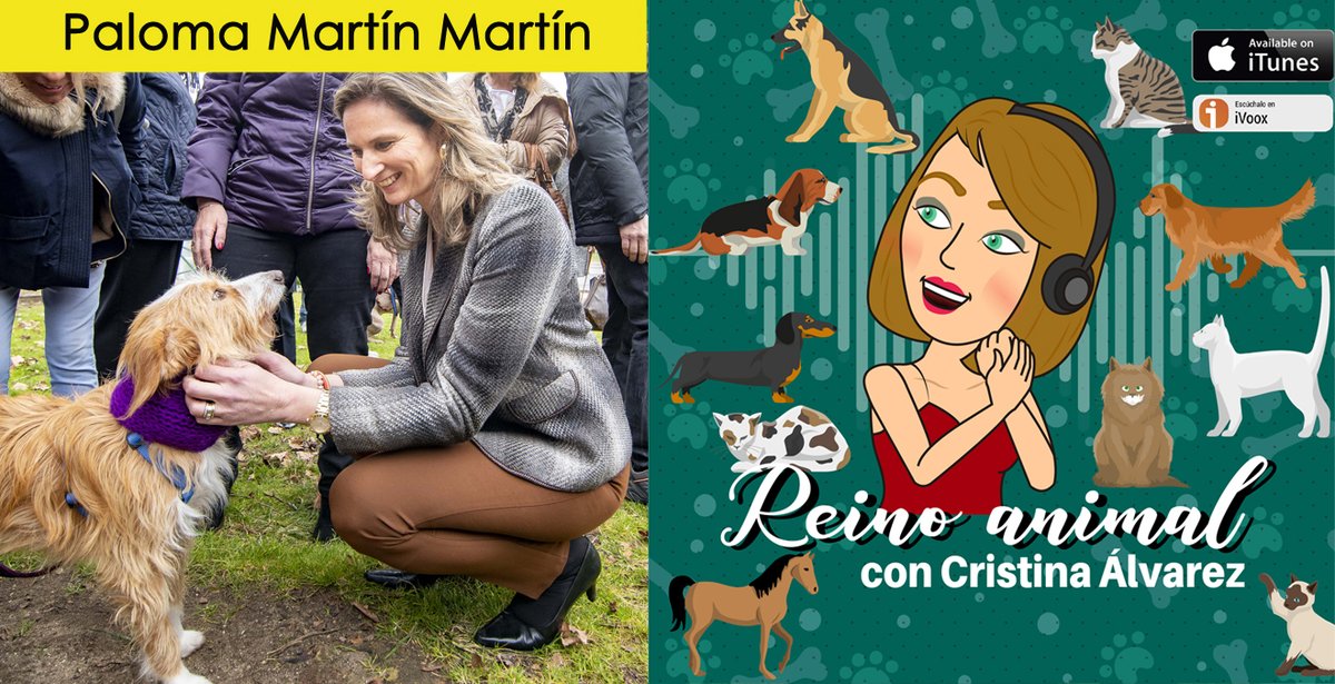 crisalvap's tweet image. El domingo en #ReinoAnimal #podcast nos acompaña @palomamartinm Consejera Medio Ambiente, Ordenación del Territorio y Sostenibilidad @medioambientecm @ComunidadMadrid recomendaciones ante el #Coronavirus #animales #mascotas #perros #gatos y mucho más ivoox.com/podcast-reino-…