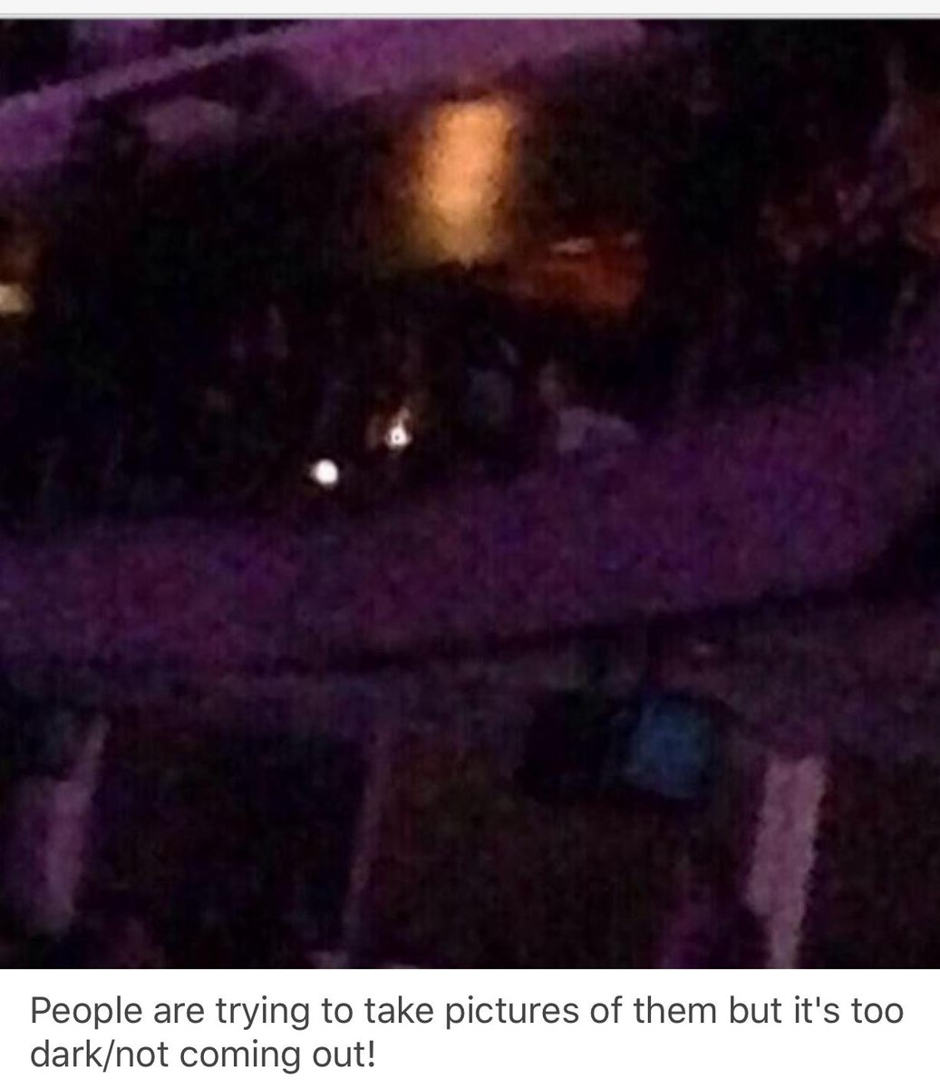 24 February 2014: They attend The Miley Cyrus concert in LA. Harry was also seen wearing Kendall's ring.