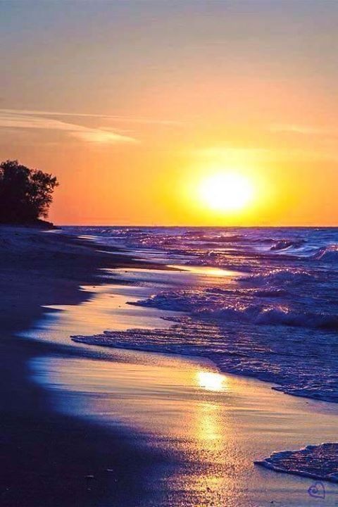 dantonio_luca's tweet photo. "Fate in modo che i vostri sogni divorino la vostra vita, così che la vita non divori i vostri sogni."
(A. De Saint-Exupery)
#11aprile
🌞🌞🌞BUON SABATO. 🌞🌞🌞🍀 https://t.co/NkodpS1WvX