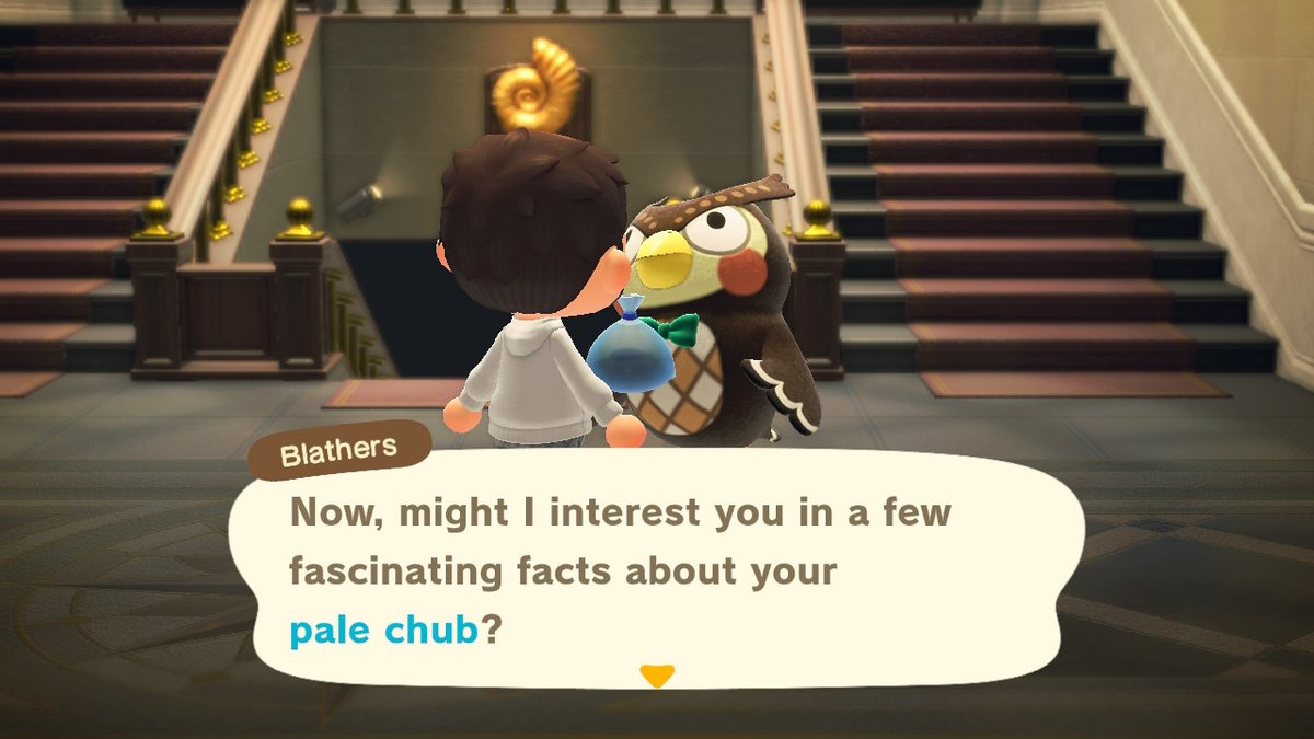 Mothrok's tweet photo. Blathers no... #AnimalCrossing #ACNH #NintendoSwitch https://t.co/TzV52gVI53