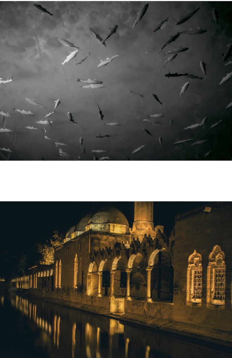 Peygamberler Şehrimiz 
insanlık tarihinin izlerinin yaşadığı
Hz.İbrahim’in  toprakları 

Sabrın 
nezaketin 
misafirperverliğin 
vücut bulduğu ŞanlıUrfamızın düşman işgalinden kurtuluşunun 100.yılında ŞanlıUrfamız’a selam olsun.
Kuvay-ı Milliye ruhu hep yaşıyor