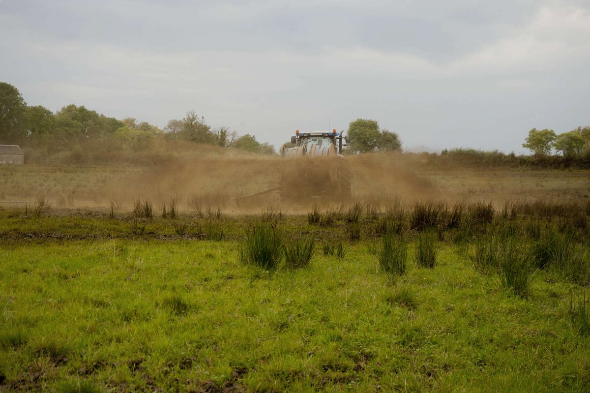 Dave Ruffles "Premier Shit Photographer in The West of Ireland" selection of new works now available as limited edition prints to grace your home. He's not very good at weddings