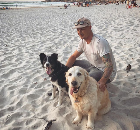 "Home is where the biltong, beaches and dog-hair-covered sofas are" –  @DaleSteyn62  #PetDay