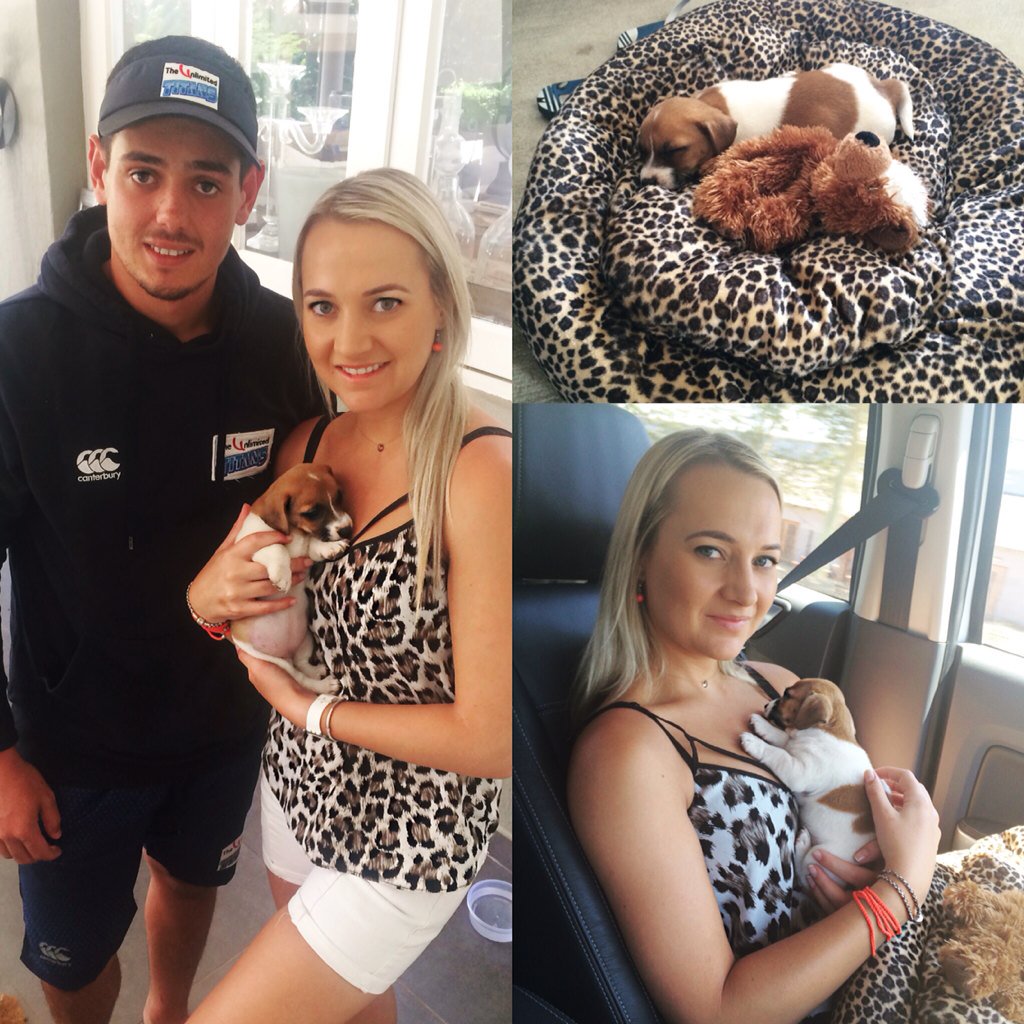 It's not always licks and cuddles! Remember when Quinton de Kock missed a Test because he twisted his knee walking his cute terriers? Or when Rachael Haynes got into the middle of a fight between her cat Lily and a rival? 