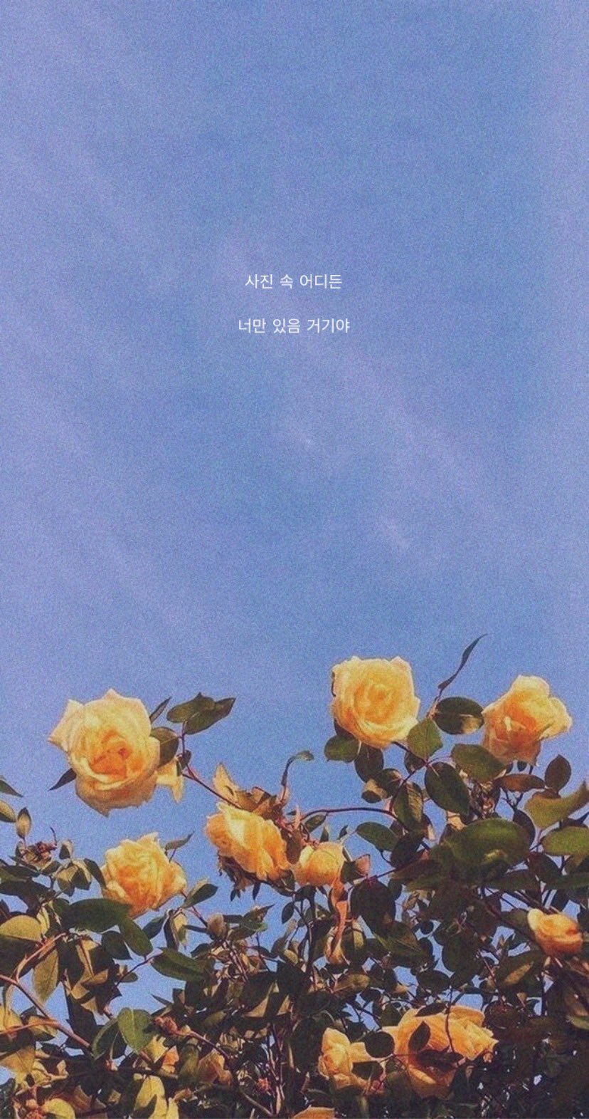 Twitter 上的 𝑌𝑢𝑧𝑢 Seventeen 壁紙配布 歌詞画第2弾です ご自由に保存どうぞ いいね Rt フォローお気持ちでもらえたら嬉しいです 下にチーム別ver と訳繋げておきます Seventeen配布 Seventeen壁紙 T Co Gceomnrbwu Twitter