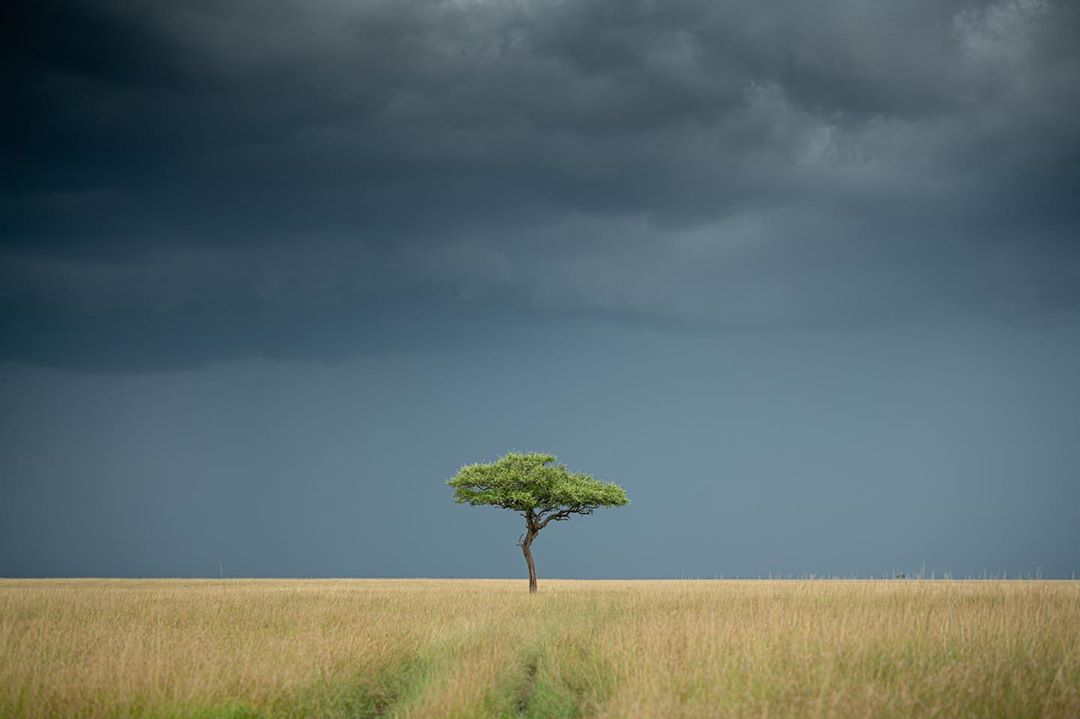 GuideJeho's tweet image. Travelling has it cuteness,beauty that fall directly to the beholder's eye😍😍&amp;amp;And special peace of mind chance