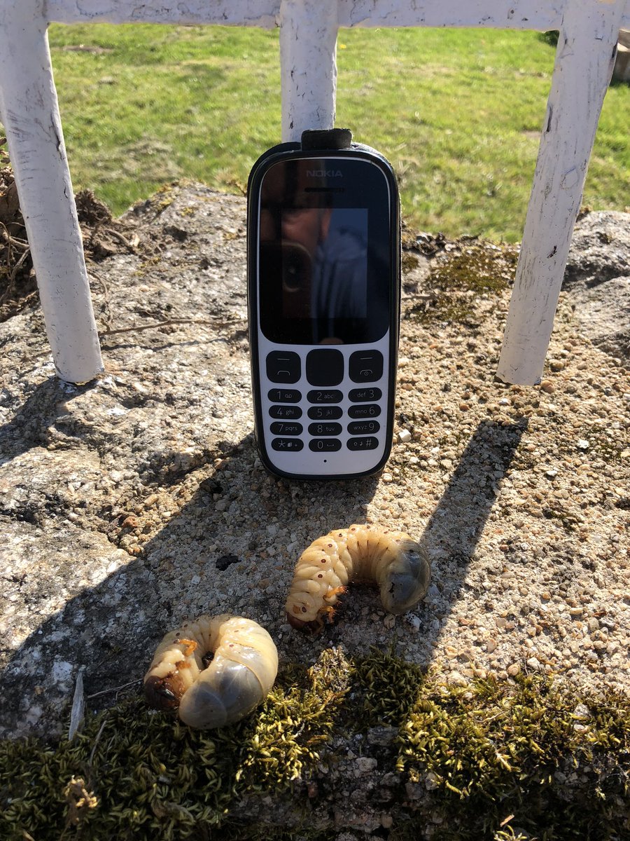 ChateauGioux tweet media