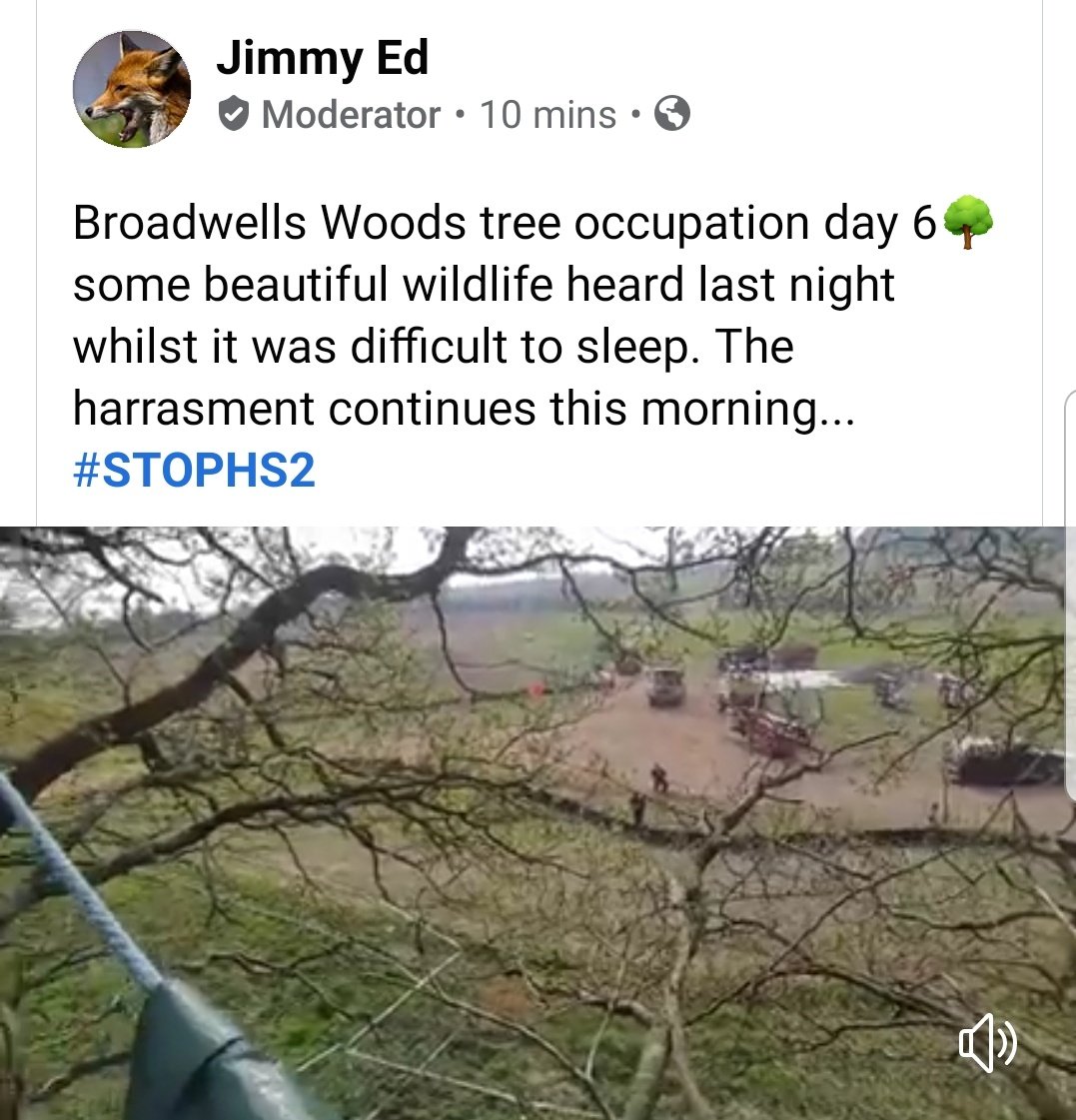 NetsNot's tweet photo. Day six #BroadwellsWood #TreeOccupation heartbreaking as when these guys are removed all this #AncientWoodland will be felled for #HS2 https://t.co/Tl5zW7Pg5j https://t.co/hV5N5crBMl