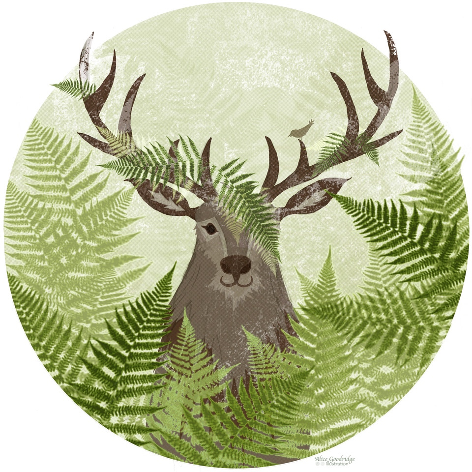 Alice Goodridge Illustration tweet media