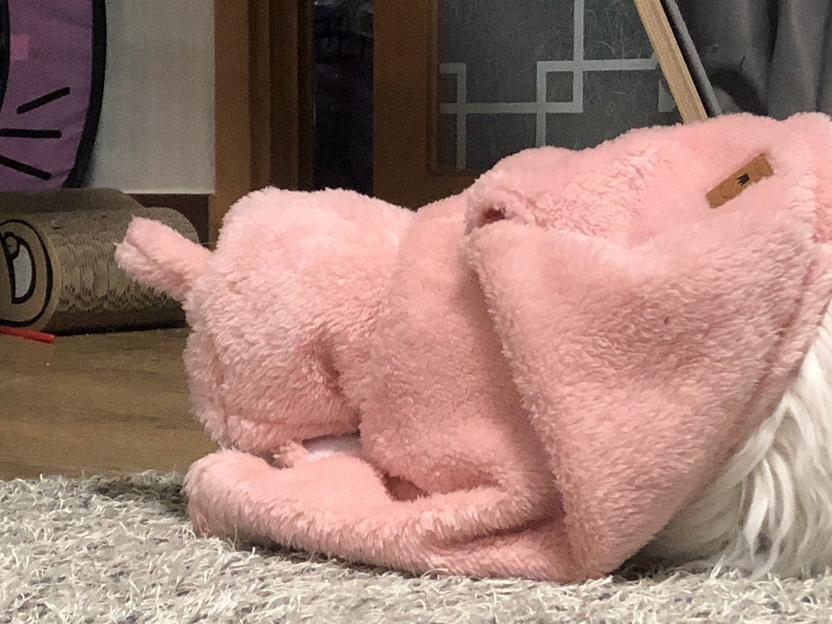 ㅠㅠㅠㅠㅠㅠㅠㅠㅠㅠㅠㅠㅠㅠ