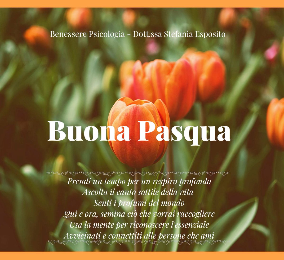 bps_psicologa's tweet photo. Buona Pasqua...
perché i tempi bui sono quelli che il seme utilizza per radicare, e la vita per rinascere. #BuonaPasqua #Psicologia #resilienza #connessione #restiamoacasa https://t.co/uPkPTTt8OL