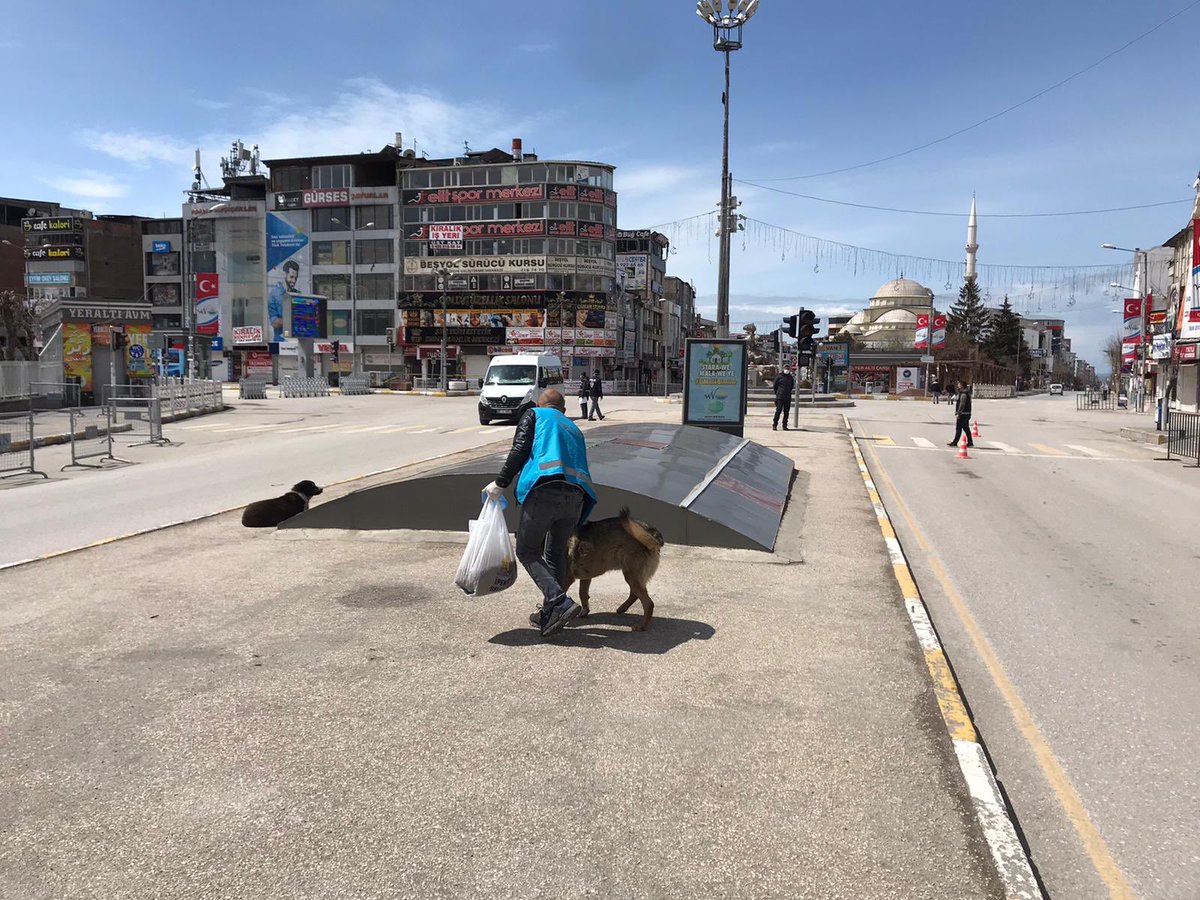 danyalyildiz's tweet photo. #hayvandostu @ipekyolubeltr ‘ye çok alkış 👏👏

Sokağa Çıkma yasağında Sokak Hayvanlarını yalnız bırakmayıp, beslenmelerini sağladığı için tebrik ediyorum.
#SOKAĞACIKMAYASAĞI 
#evdekal
#sokakhayvanlari 
@FeqiDerr 
@FeqiDerHHK https://t.co/G5la6VkkGR
