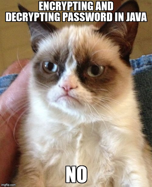 overflow_meme's tweet image. Encrypting and Decrypting password in java stackoverflow.com/questions/6115… #rsa #java #passwordencryption #encryption