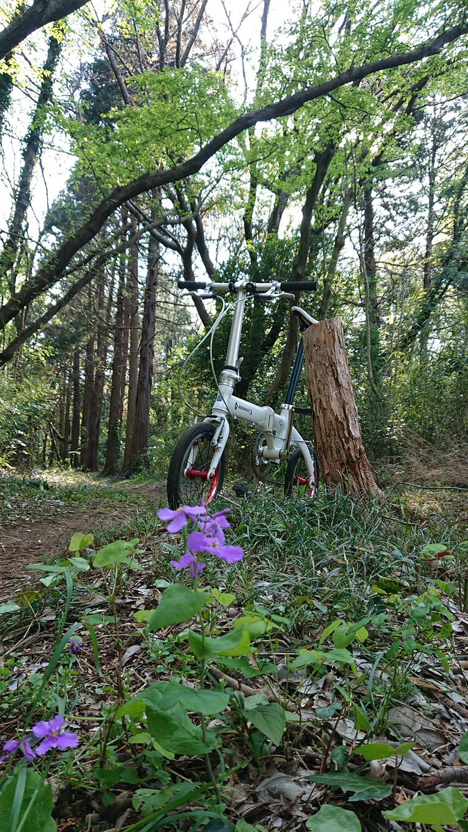 aorikaze's tweet photo. 整備も終わりブラブライド。
山から住宅地また山へ
お前その自転車でどこ走っとんねん!選手権
#RENAULT
#Light7
#MINIVELO
#ミニベロ
#おりたたぶ
#お前その自転車でどこ走っとんねん選手権 https://t.co/MJgEKVsU2X