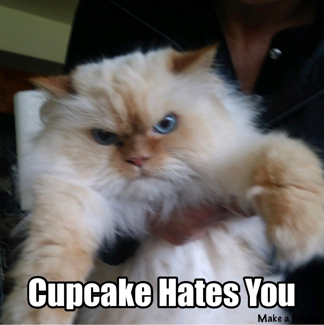 B Harrison Smith tweet media