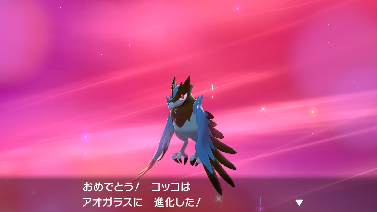 ケムリネコ ポケモン剣盾 Nintendoswitch 始めたての頃に捕まえたココガラ が最終的にアーマーガアに進化するなんて夢にも思ってなかった T Co Tnueaxlqkv Twitter