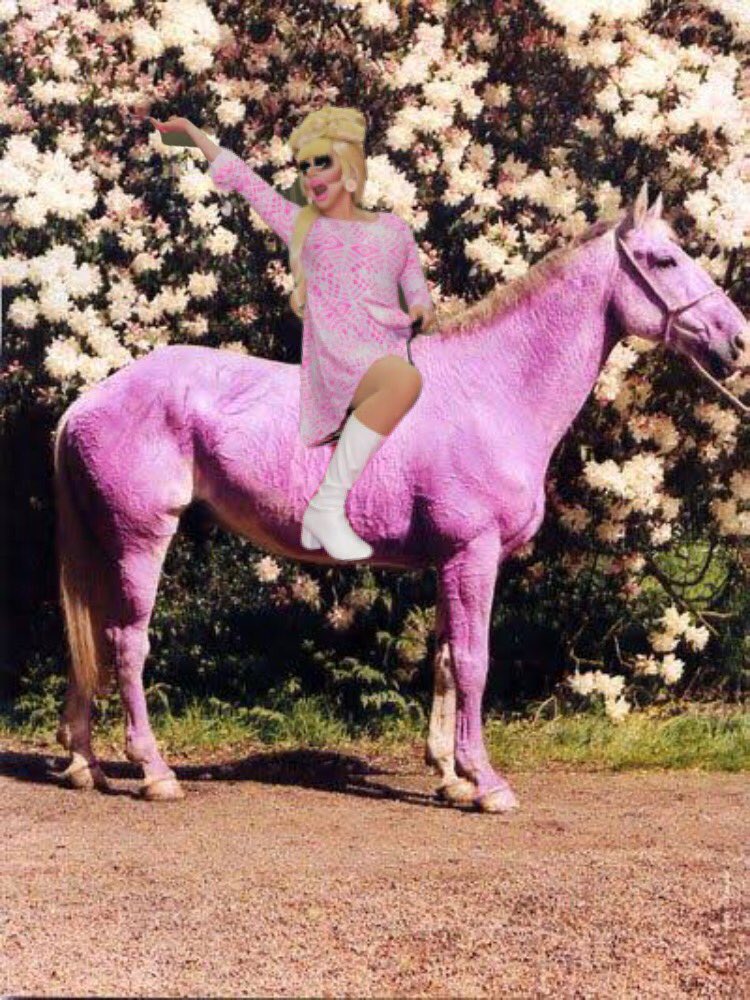 Horse girl  @trixiemattel a thread of Trixie riding horses: