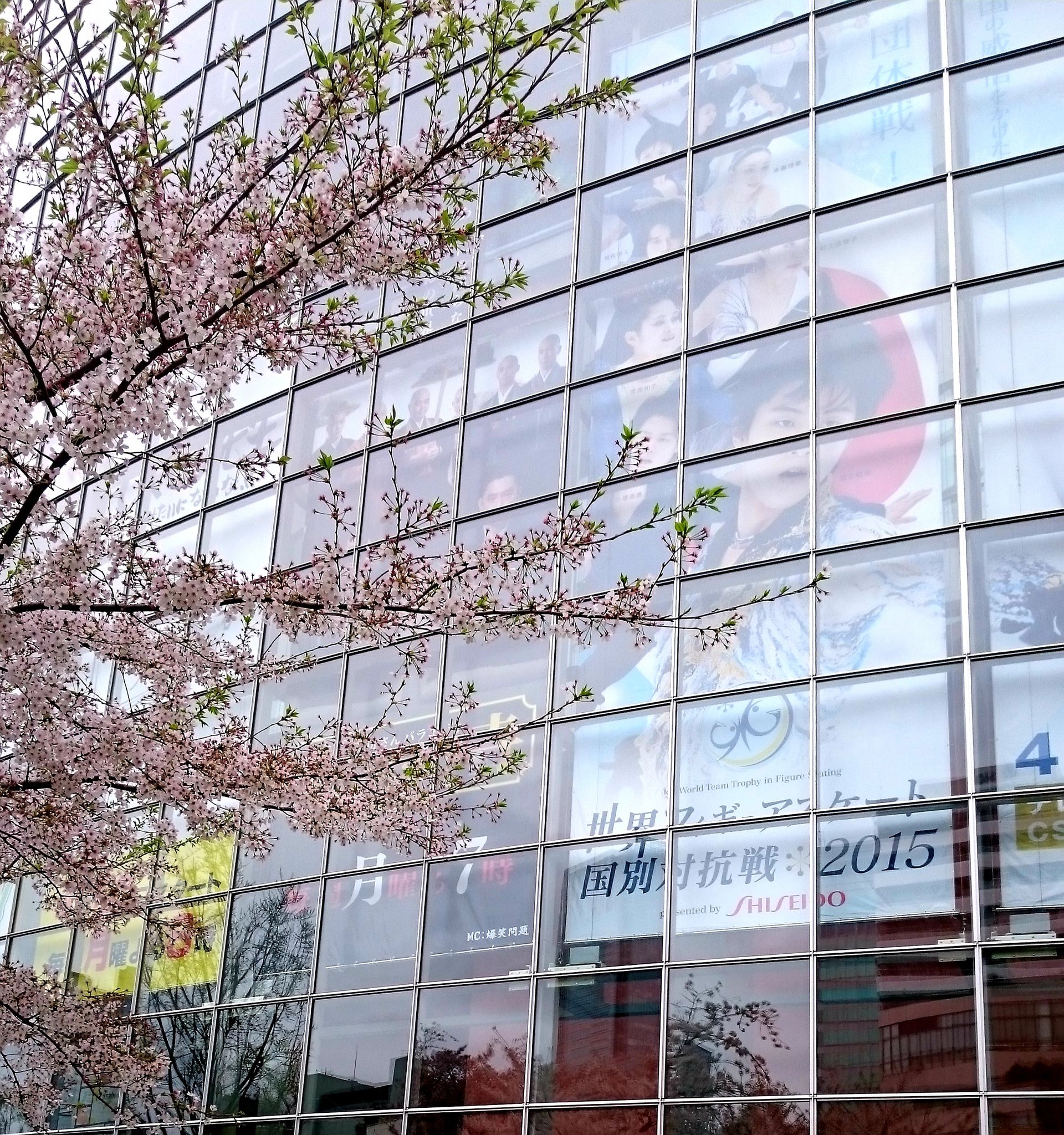 みんなでお花見空部桜祭り Twitter Search Twitter