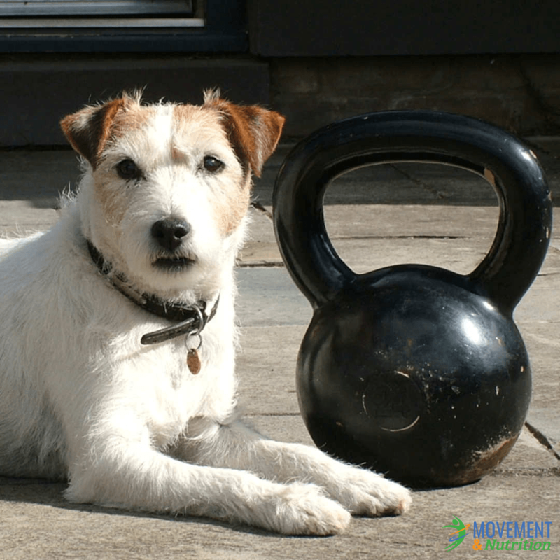 MoveNutrition's tweet photo. Two old friends 😍
#kettlebell #edinburghkettlebellclass #kettlebells https://t.co/KR5568bqZJ
