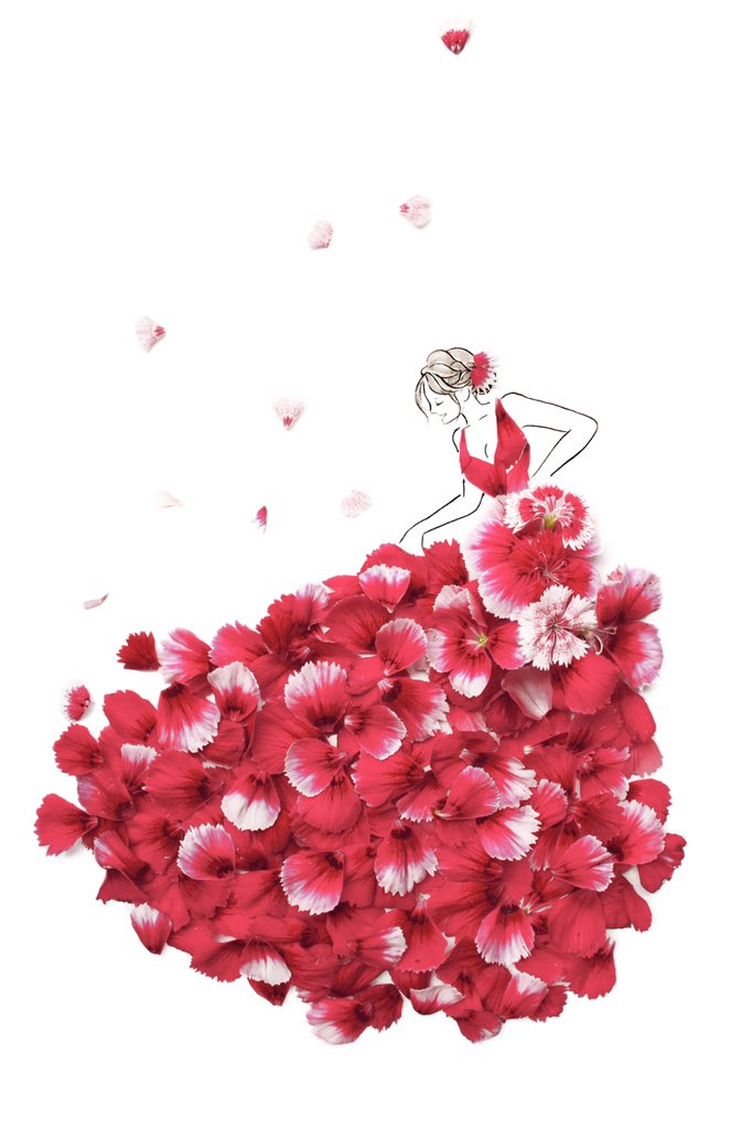 Twitter पर はな言葉 葉菜桜花子 新作ウェディングドレス ナデシコのドレス 花言葉は 純粋な愛 英語のpink ピンク色 の語源になったナデシコ 今の季節にぴったりの華やかなドレスになりました Flowery Fields