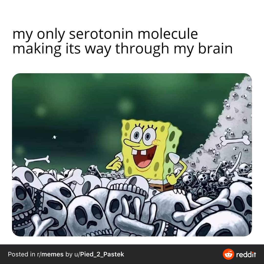 elphaema's tweet image. 