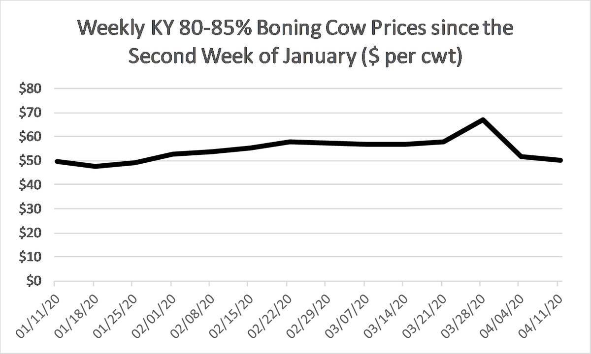 KYCattleEcon's tweet photo. KY cull cow prices fell by another $1 per cwt this week. This puts them down $17 per cwt from their highs two weeks ago. Source: @USDA_AMS #KYCattleMarkets https://t.co/ihisTV0xe6