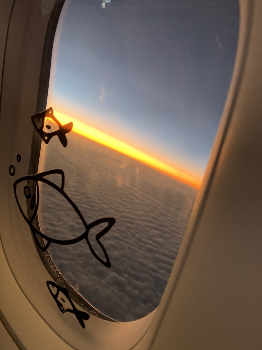 Join the #AvGeekChallenge. Post your aviation photo, no description. The goal is to post positives instead of spreading negativity. Just copy the text and post it with à Nice Picture