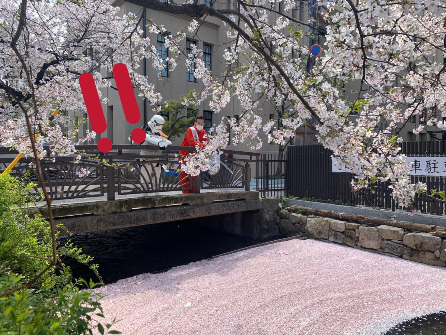 @kyototb ff外から失礼します！
こちらで以前写真取りました！
この時はまだ画像の半分くらいでした✨
こんなにたくさん集まったんですね‼️
綺麗です🌸✨✨ 