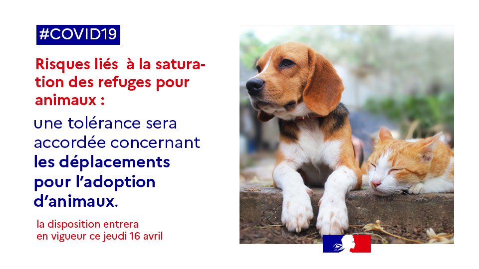 Merci aux bénévoles qui vont pouvoir continuer à s’occuper des animaux abandonnés dans nos refuges! J’ai fait clarifier la déclaration de déplacement pour que cela soit désormais possible..#TousMobilisés #COVIDー19 <a href="/LoicDombreval/">Loïc Dombreval 🐾</a> <a href="/Agri_Gouv/">Ministère Agriculture et Souveraineté alimentaire</a>