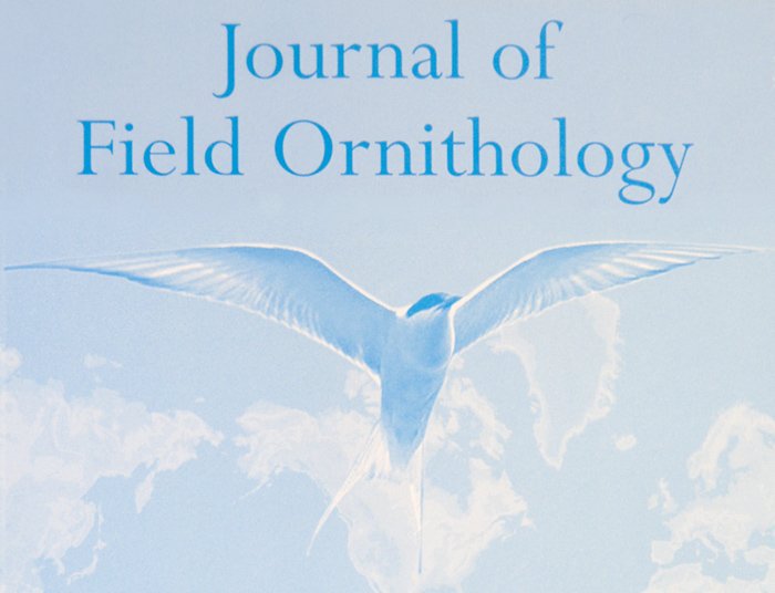 FieldOrnith's tweet photo. New JFO early-view article: Does the presence of an observer affect a bird's occurrence rate or singing rate during a point count? | https://t.co/Auh8iKDo68 | #ornithology #technology #bioacoustics #fieldmethods https://t.co/8XdV3L0UHc
