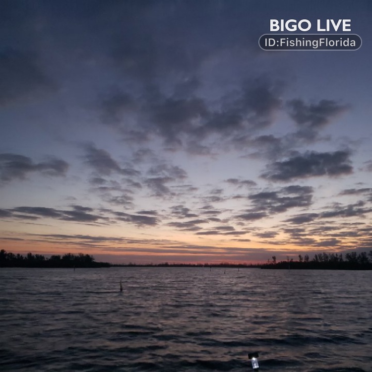 Come and see ŁITBRAÏN🍍☯️ᴾᴸᵁᴿ's LIVE in #BIGOLIVE: Sunrise on the water, Dolphins  watching  
slink.bigovideo.tv/lGFerx