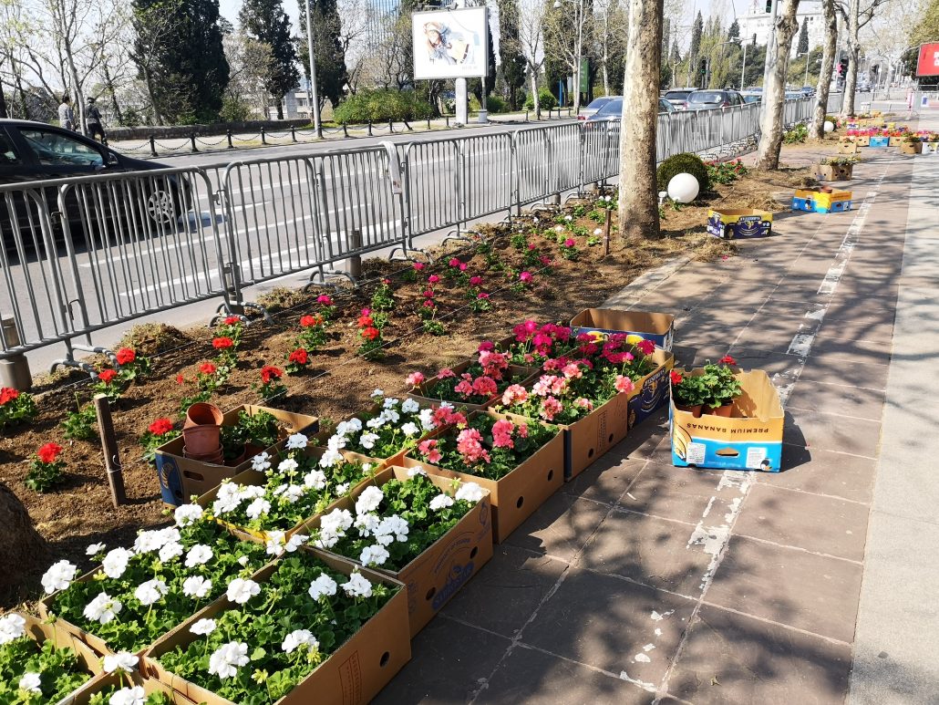 GradPg's tweet image. Vikendom predstavljamo naše radnike na terenu, Lejla Mićković: Nadam se da će građani znati da cijene naš trud i rad
#Zelenilo 🌼podgorica.me/?p=67622