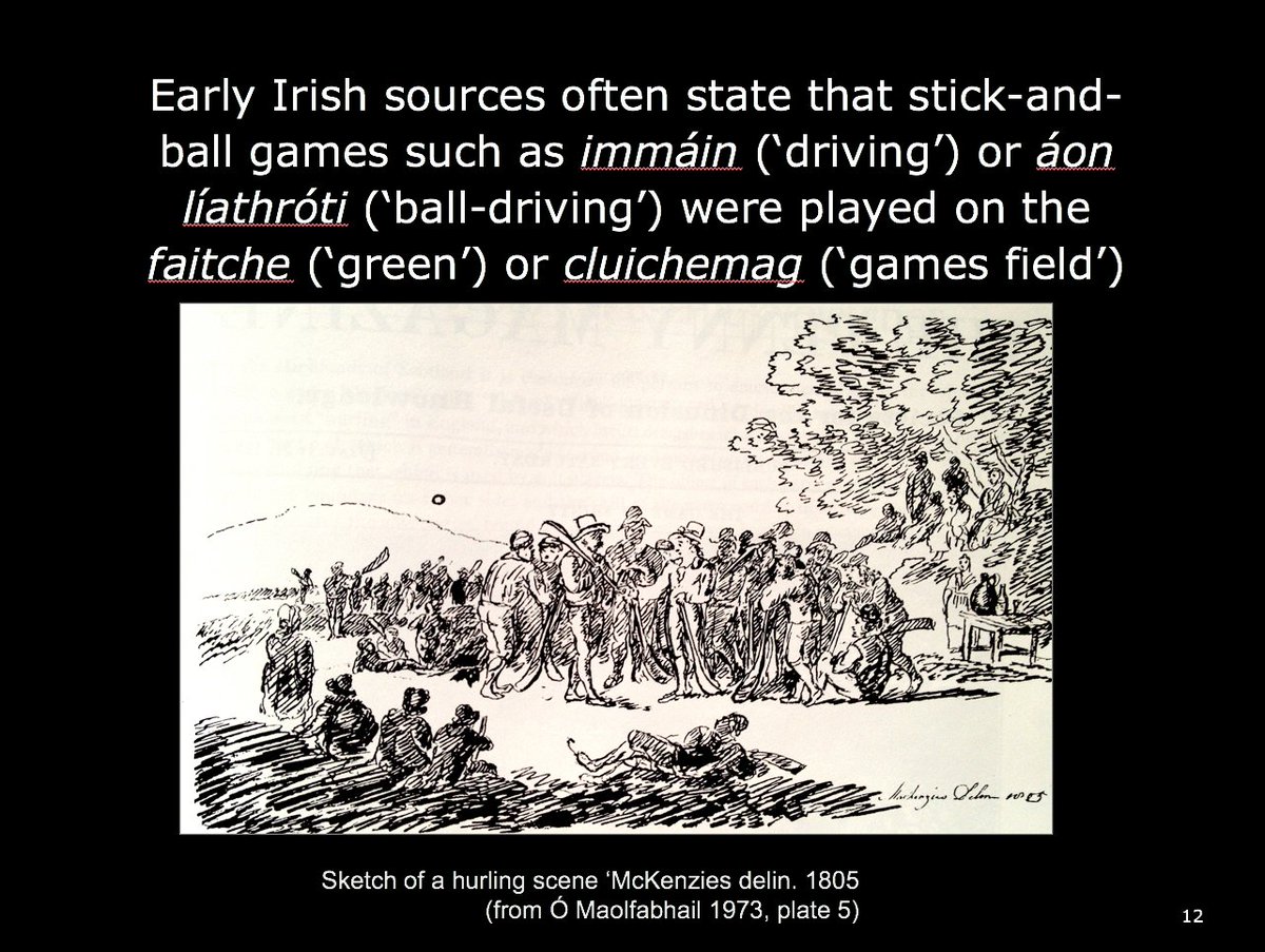 12) Early Irish sources often state that stick-and-ball games such as immáin (‘driving’) or áon líathróti (‘ball-driving’) were played on the 'faitche' (‘green’) or cluichemag (‘games field’). In later times, travellers often described hurling matches occurring in specific places