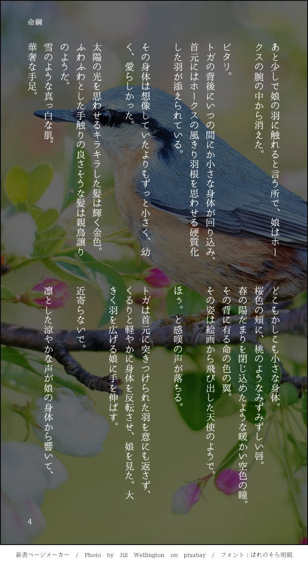 ヒロアカ 夢小説 ホークス