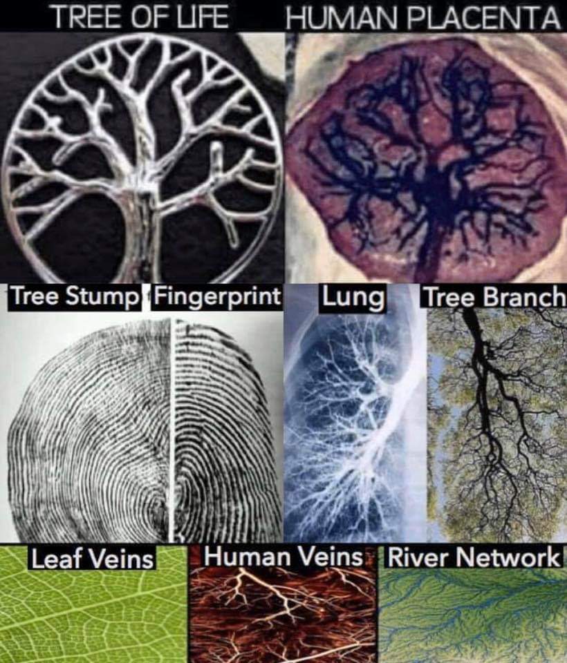 In the same way we try to communicate with the spiritual world, the spirits try to communicate with us manifestating themself in our world with the most simple and natural langauge that exists...symbols and patters.