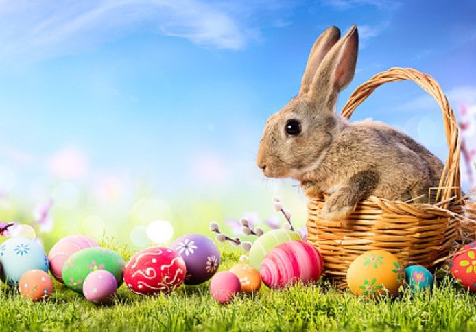 Namens KEIM Nederland BV hele fijne paasdagen gewenst! Blijf gezond en zorg goed voor elkaar!