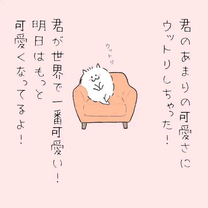いきなりむちゃくちゃ褒めてくれるポメラニアン。 