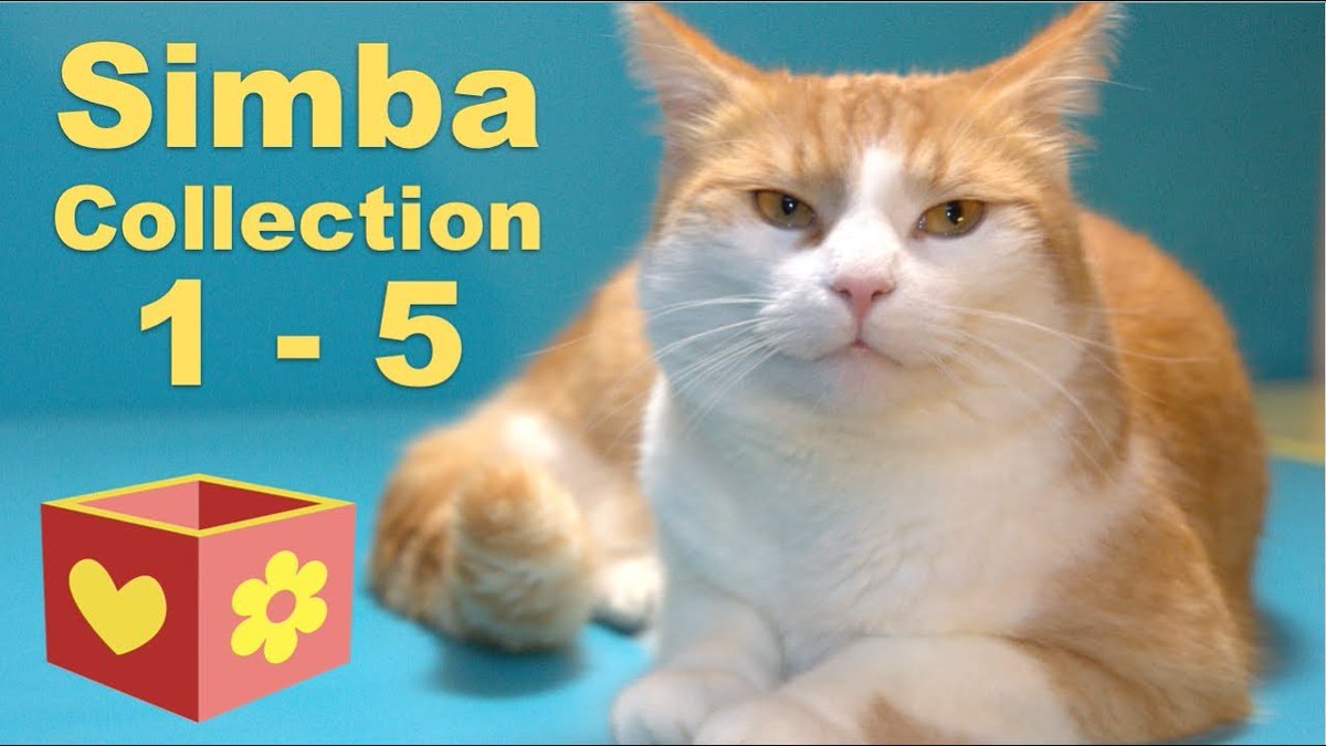 MeowMoeDotCom's tweet photo. Cute Cat #Collection | #Bellboxes #Videos | #Simba 1 - 5
#Cats #Cat #Kittens #Kitten #Kitty #Pets #Pet #Meow #Moe #CuteCats #CuteCat #CuteKittens #CuteKitten #MeowMoe
#2017 #Bell #Boxes #CuteCatVideos #CuteCats #CuteCatsVideos
https://t.co/E1MKQ2B4Sq
. https://t.co/bJV0981OUm