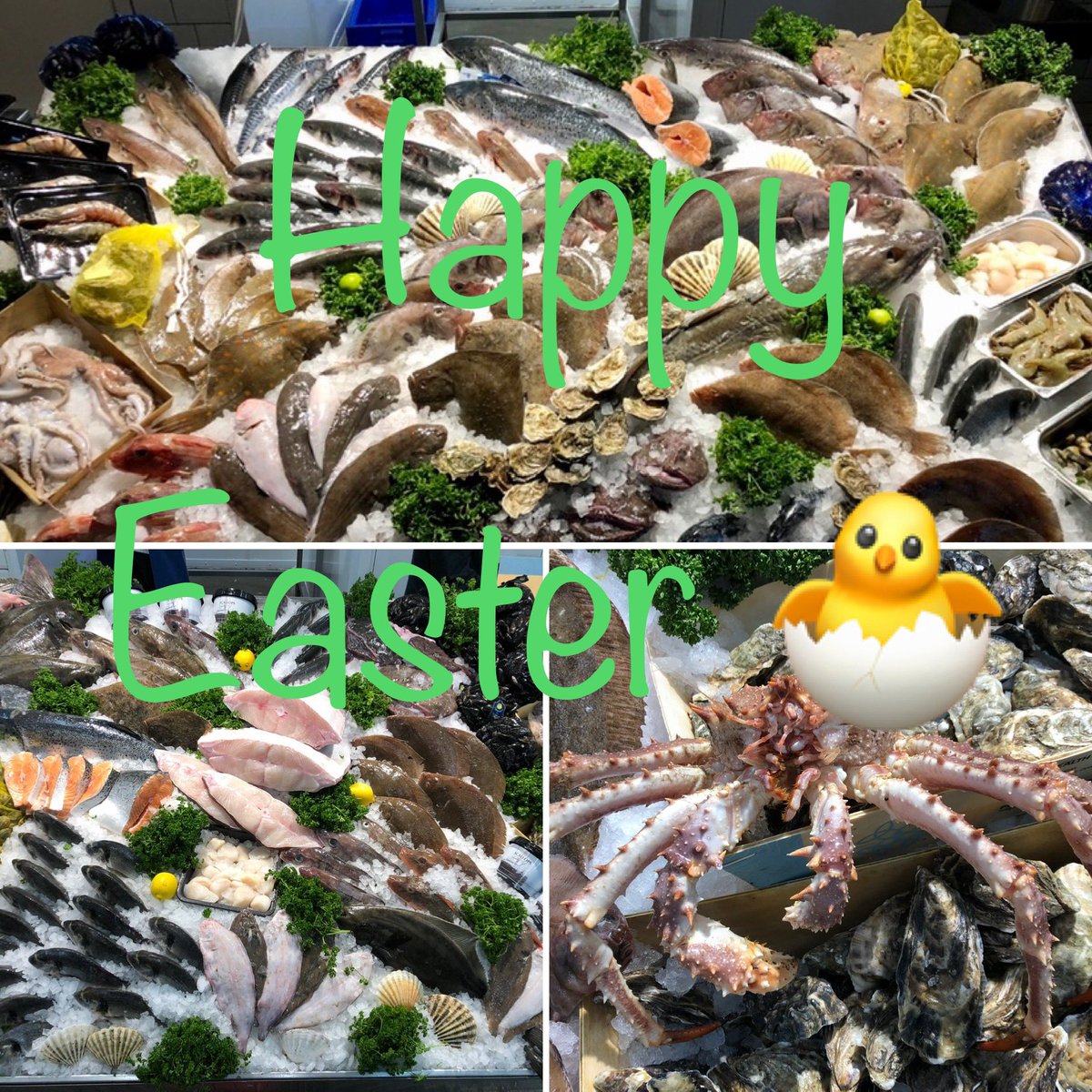 PhilsPlaice's tweet photo. Happy Easter guys... we hope you are all staying safe and well.  We are missing you all but everyone’s health is paramount!Hopefully we will be back very soon! #covi̇d_19 #fish #fishmonger #localfish #localfishing #buy #northshields #northshieldsfishquay #northshields #easter https://t.co/wtmX4p3v1s