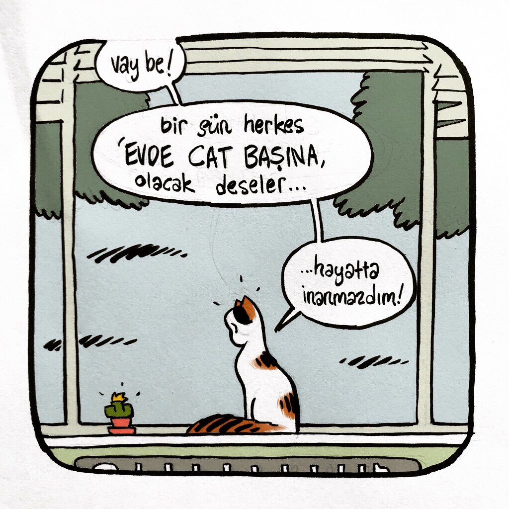 ‘Artık Herkes EVDE CAT BAŞINA!’ 🐾 #sokağaçıkmayasağı