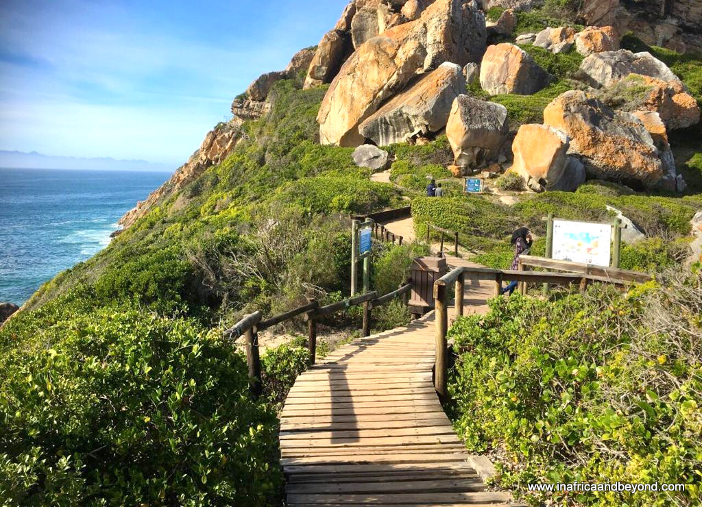InAfricaNBeyond's tweet photo. Today's destination is the beautiful #GardenRoute of #SouthAfrica #21days21destinations #day16oflockdown #VirtualTravelSA #21lockdownsa https://t.co/tZprQGUF2E