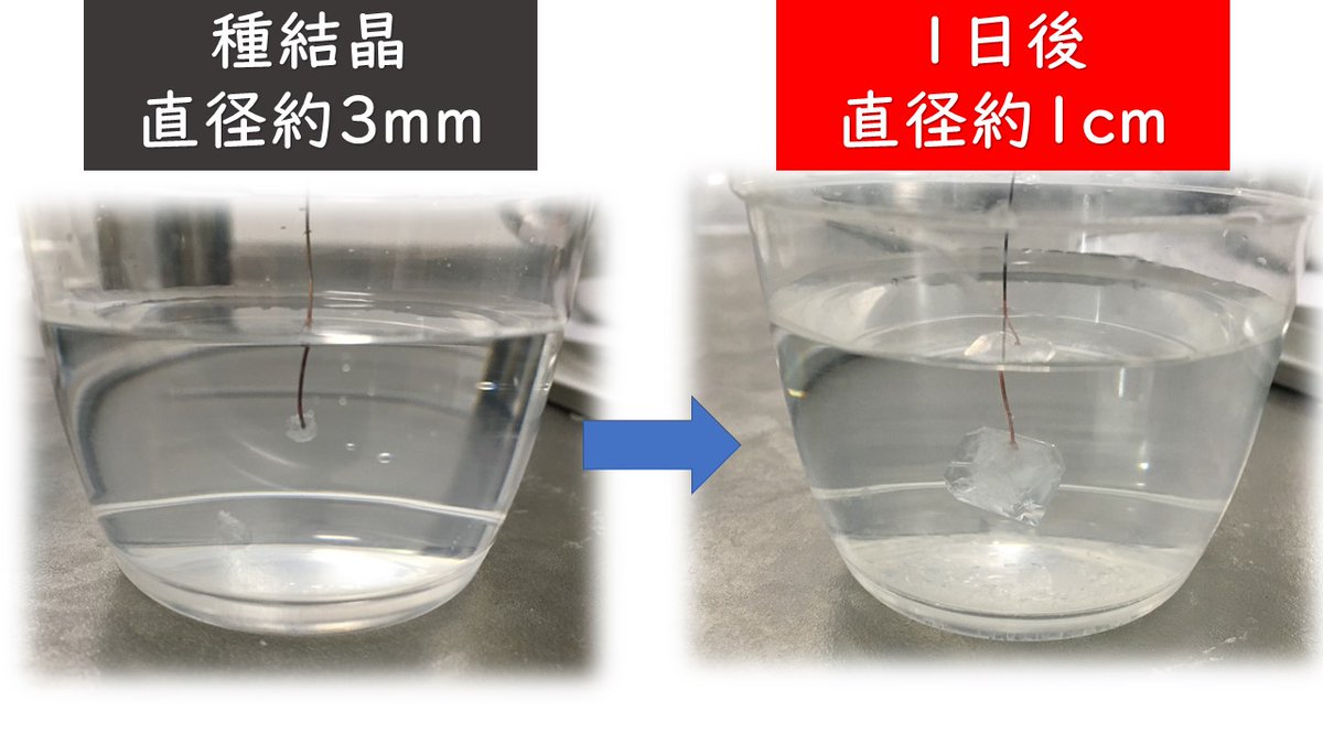 ミョウバン Twitter Search