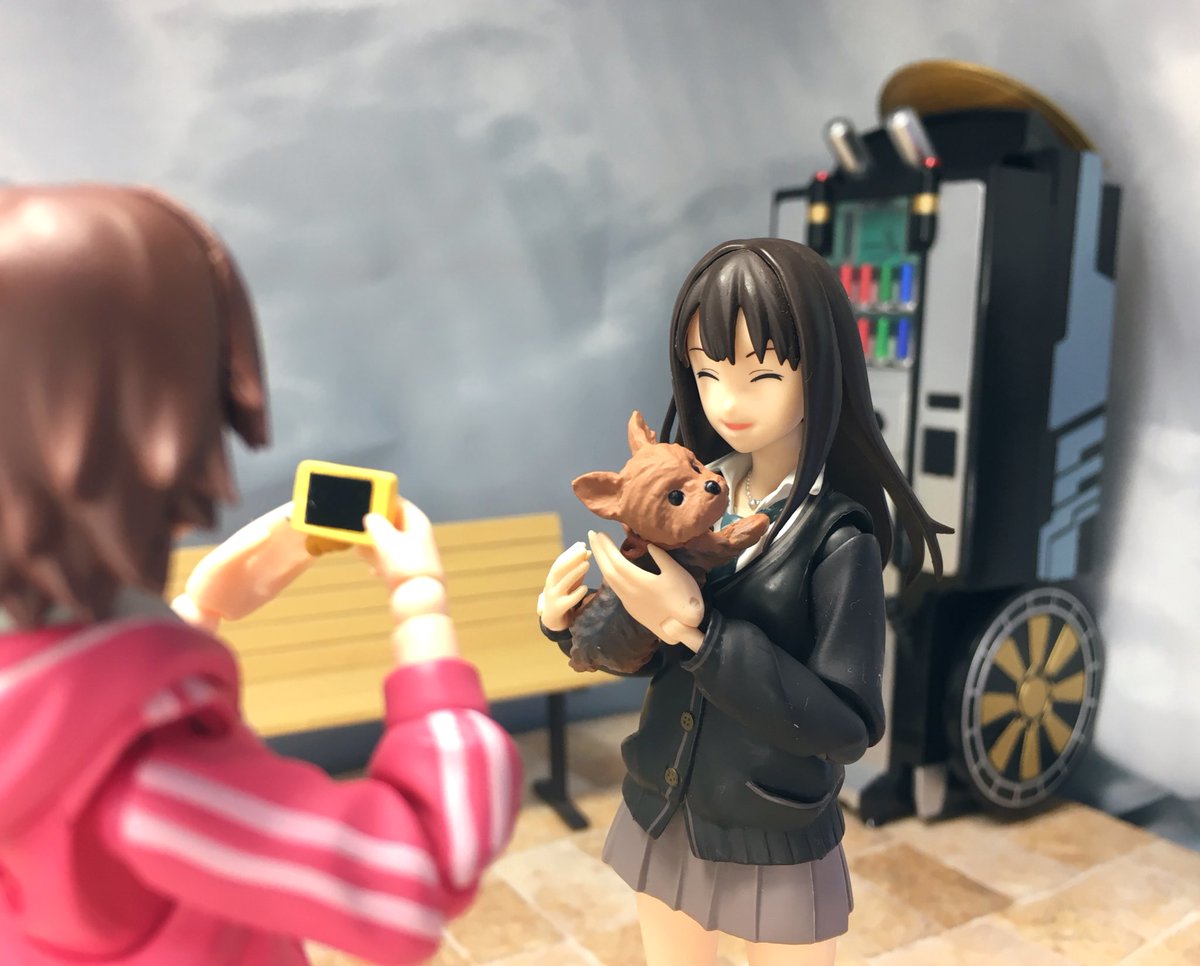 8プロ お題 ペット 凛ちゃんもハナコの前ではこの笑顔 おもちゃ撮影会 オモ写 渋谷凛 8プロ お題 ペット 凛ちゃんもハナコの前ではこの笑顔 おもちゃ撮影会 オモ写 渋谷凛