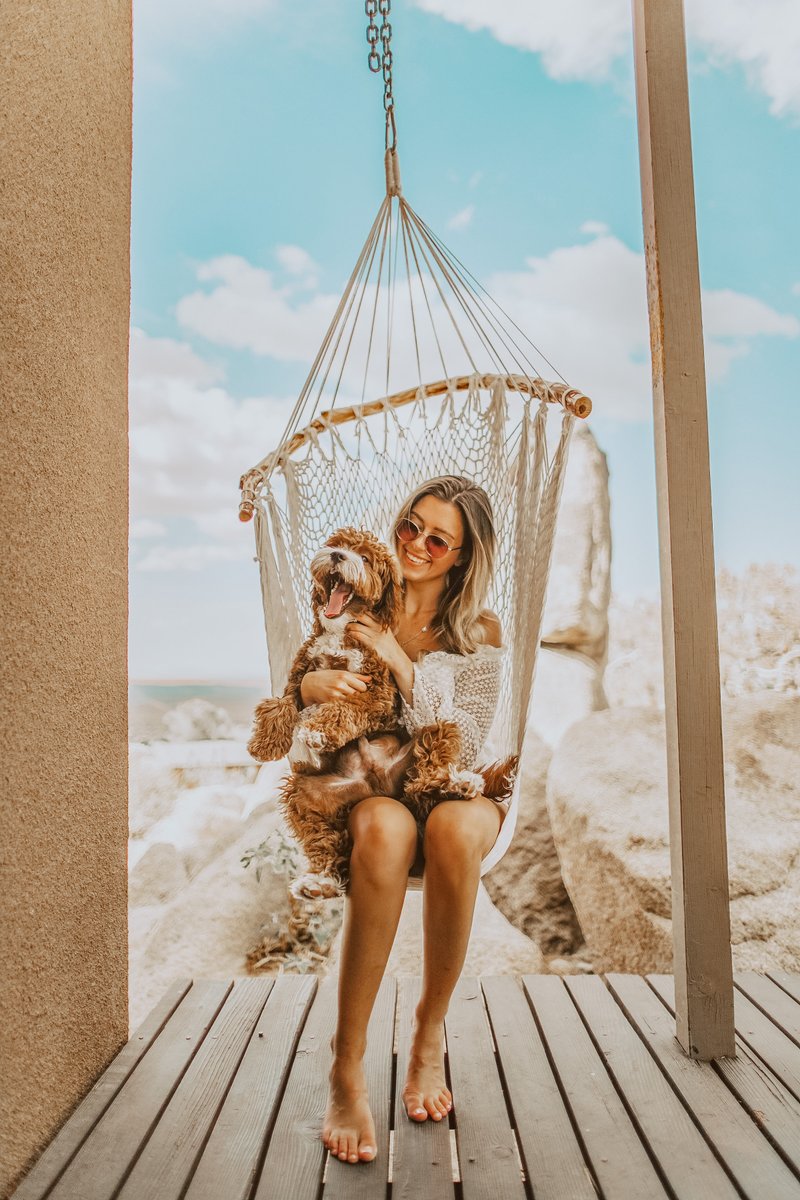 DIRECT__CBD's tweet photo. Celebrate your pet on #NationalPetDay with the help of #DCBD! Direct CBD carries a collection of pet-friendly CBD products, created specifically for safe use with your four-legged family members. Good boys deserve CBD treats! 🐶 https://t.co/uOmWLGhErK