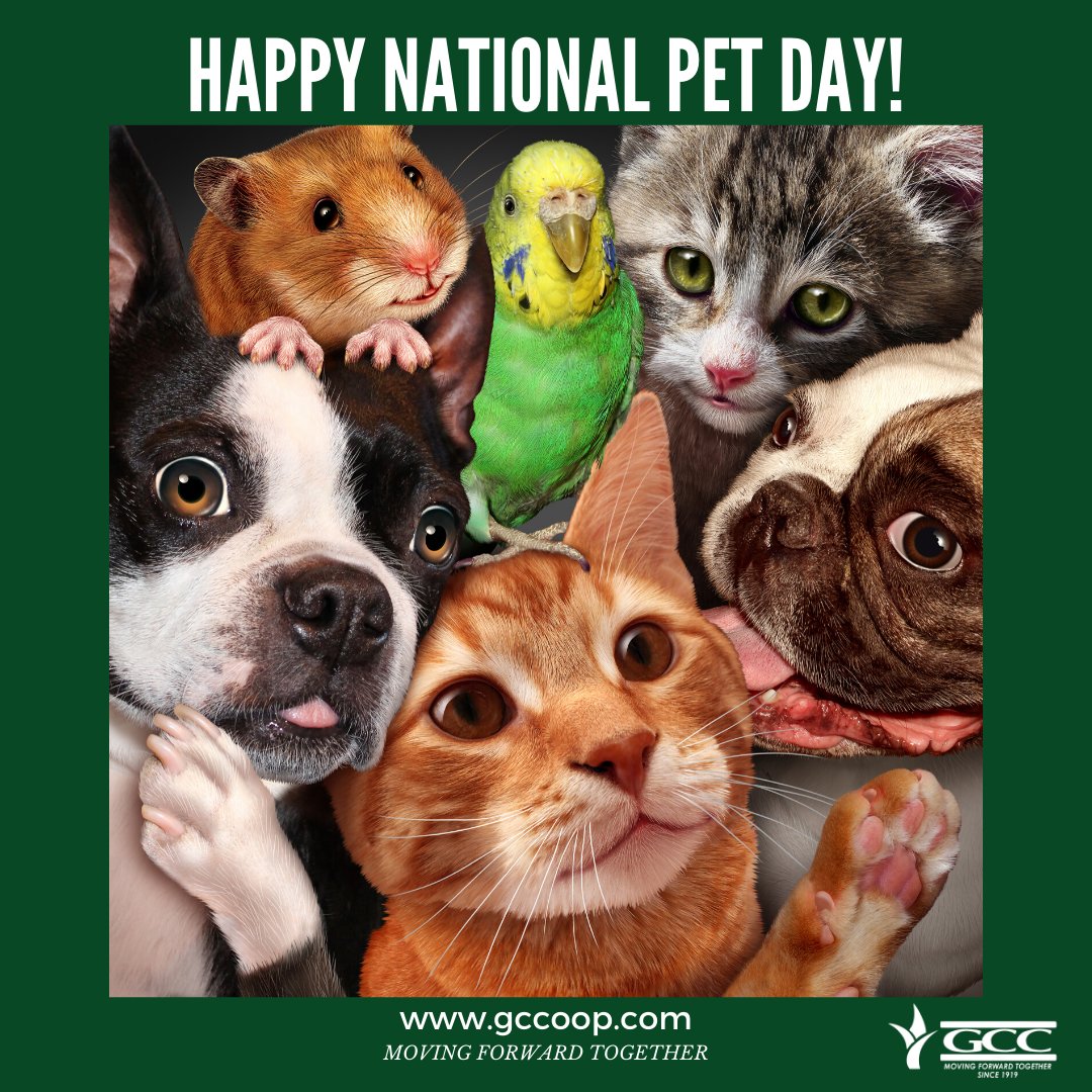 Garden City Coop On Twitter Happy Nationalpetday Let S See A