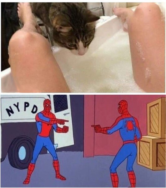 TUmemeverse's tweet photo. Dirty memes 🔞

#Memes #Memesdaily #Dirtymemes https://t.co/JrV9JP2sRJ
