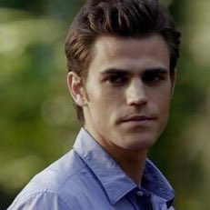 stefan salvatore - bisexual