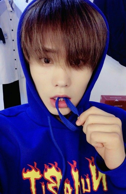 Rocky in a hoodie[a thread]