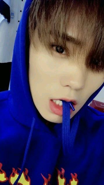 Rocky in a hoodie[a thread]