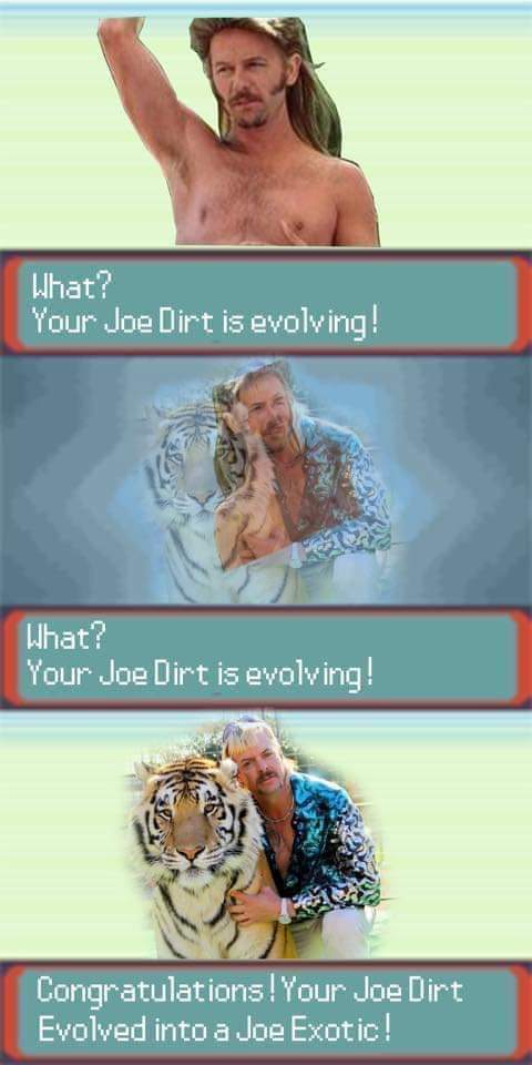 Dan Hill tweet media